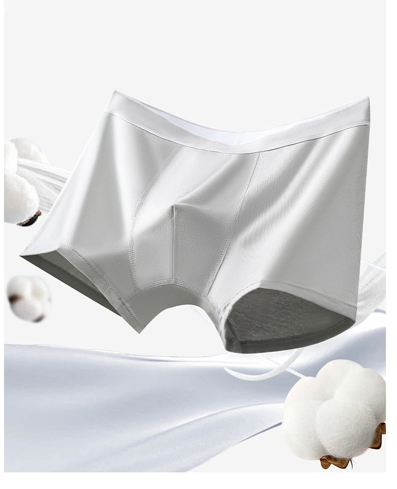 Casey 4-in-1 Cotton Briefs - Mix 2 (Premium Quality)