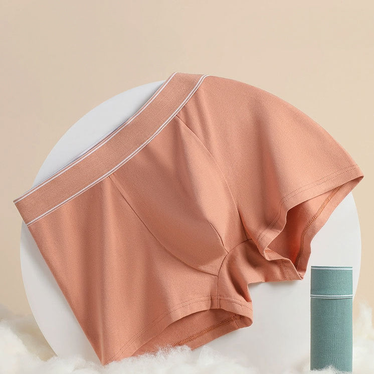 Casey 4-in-1 Cotton Briefs - Mix 2 (Premium Quality)