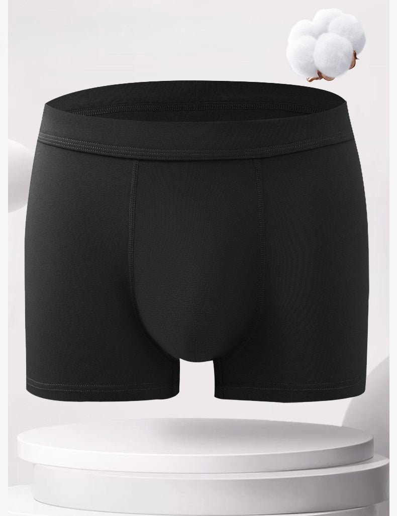 Callen 4-in-1 Cotton Briefs - Mix 2 (Premium Quality)-7