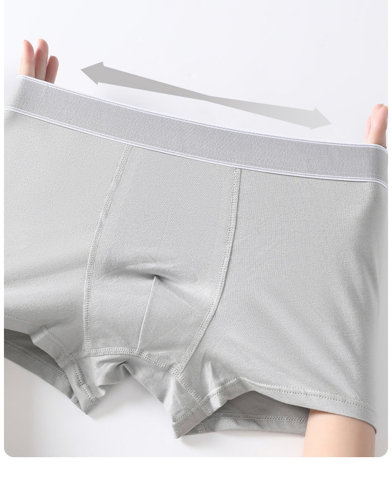 Casey 4-in-1 Cotton Briefs - Mix 2 (Premium Quality)