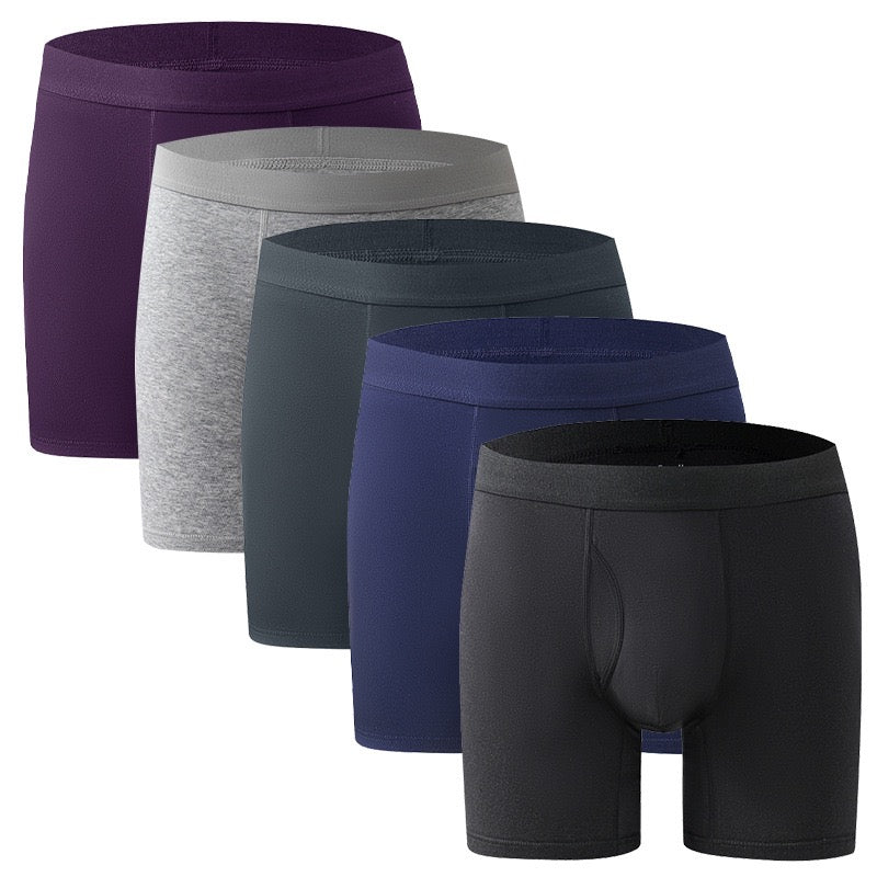 Cairo 5-in-1 Cotton Briefs - Mix 2 (Premium Quality)